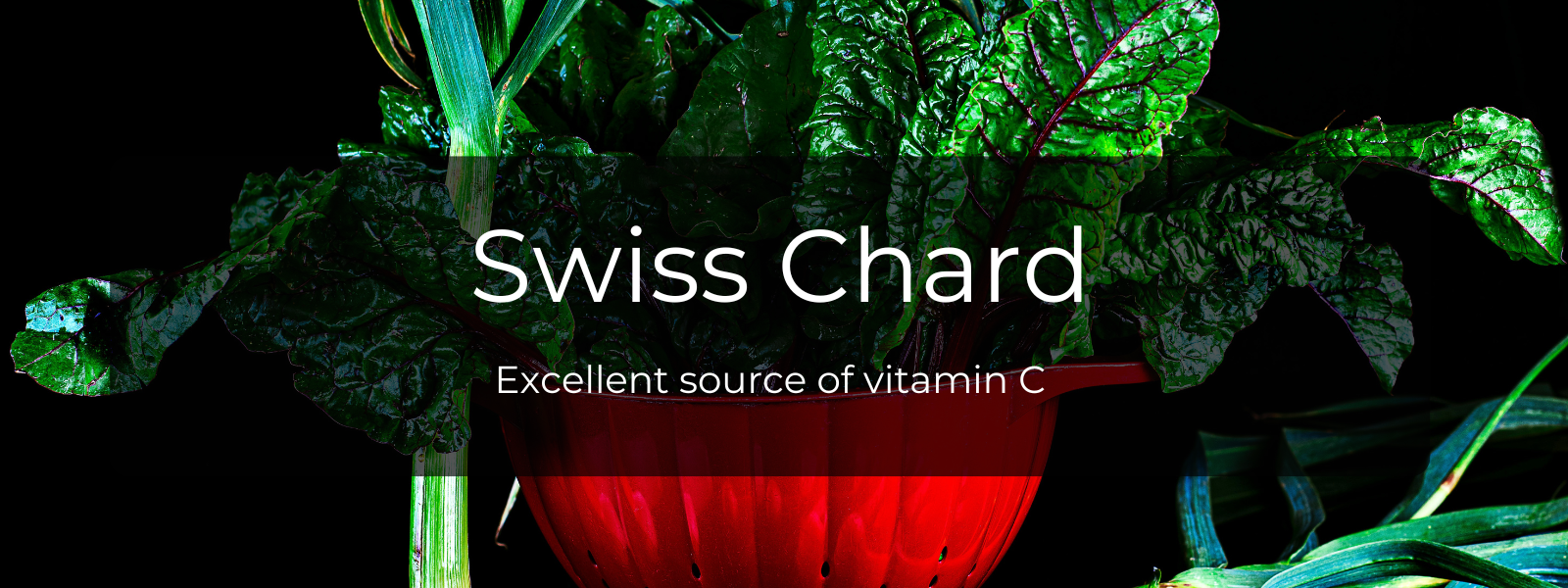 Swiss Chard Health Benefits