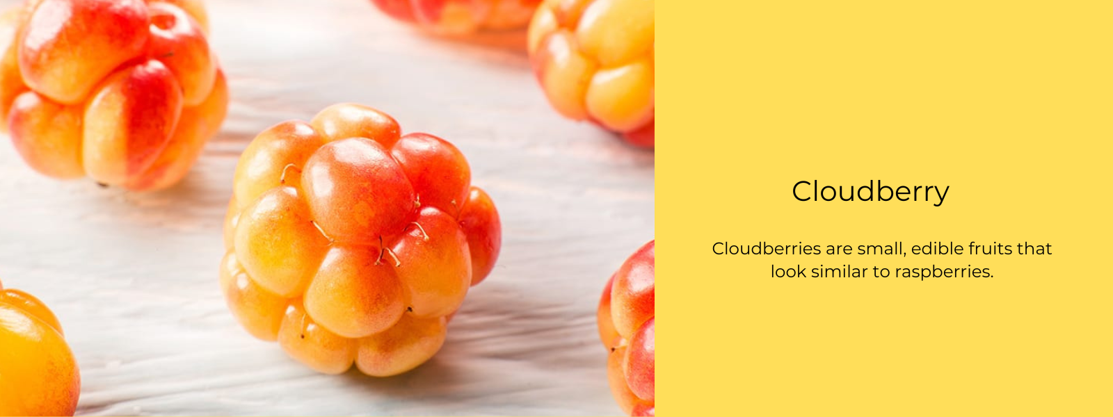 Cloudberry – Health Benefits, Uses and Important Facts