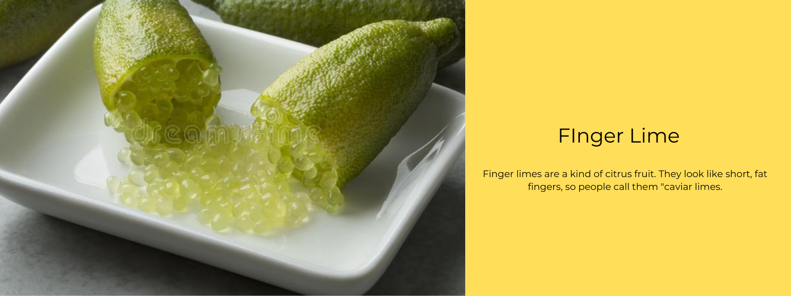 FInger Lime – Health Benefits, Uses and Important Facts