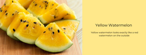 Yellow Watermelon – Health Benefits, Uses and Important Facts