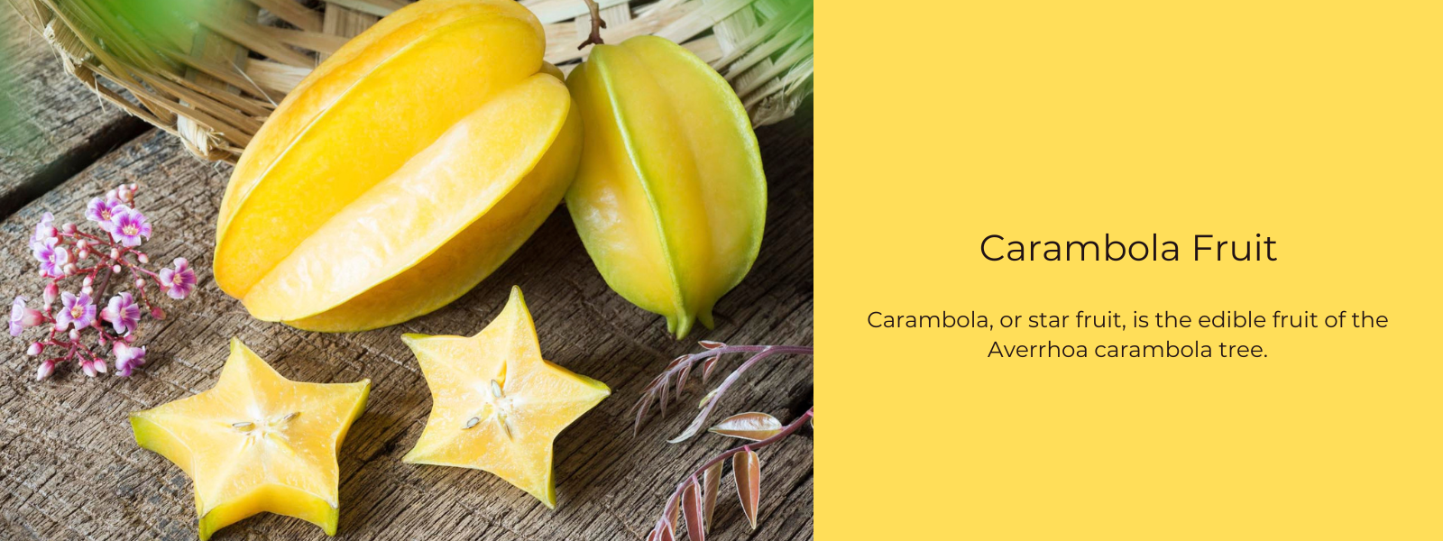 Carambola Fruit – Health Benefits, Uses and Important Facts