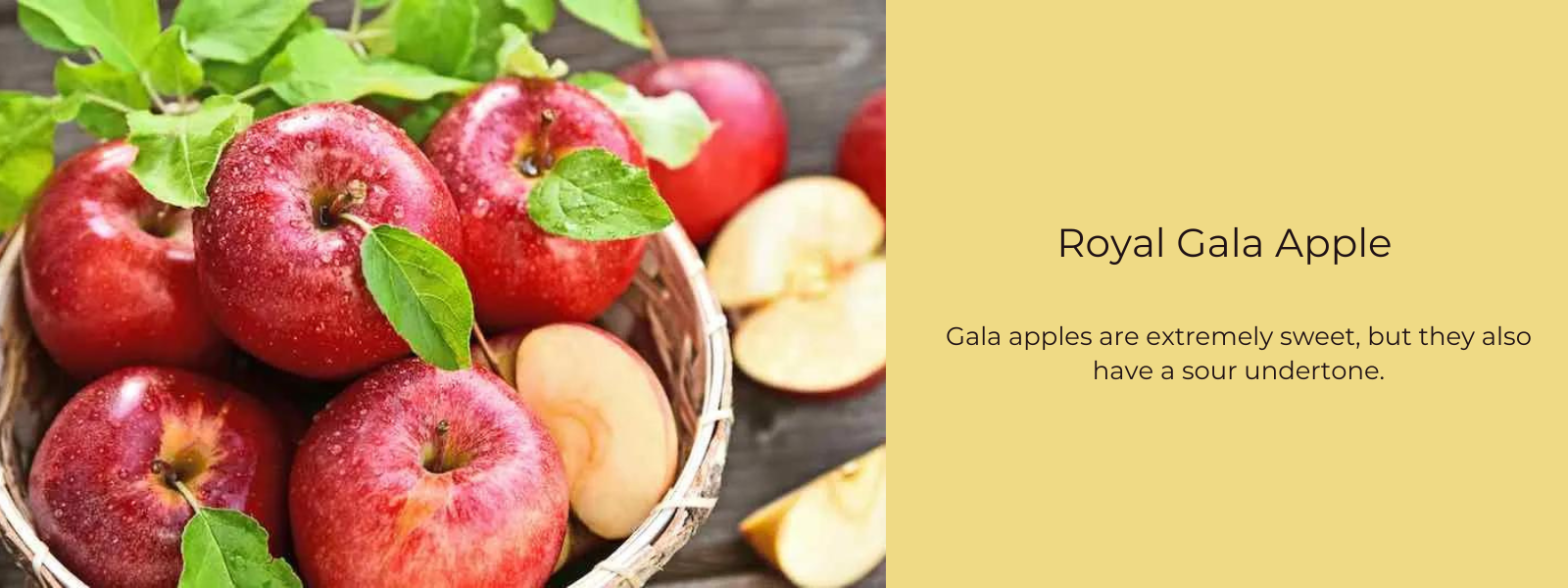 How Many Calories in a Gala Apple?