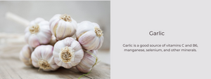 Garlic - Health Benefits, Uses and Important Facts