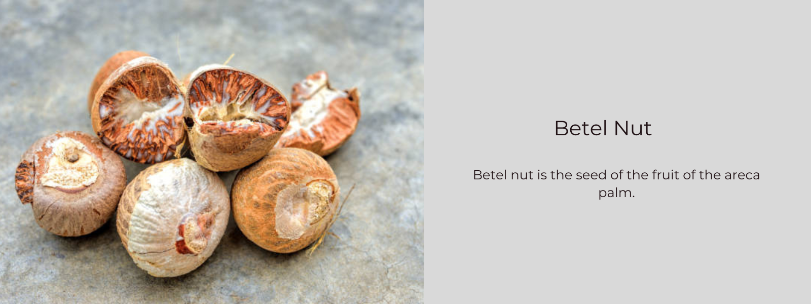 Betel Nut – Health Benefits, Uses and Important Facts