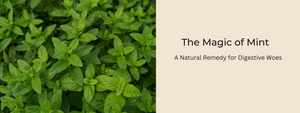 The Magic of Mint: A Natural Remedy for Digestive Woes