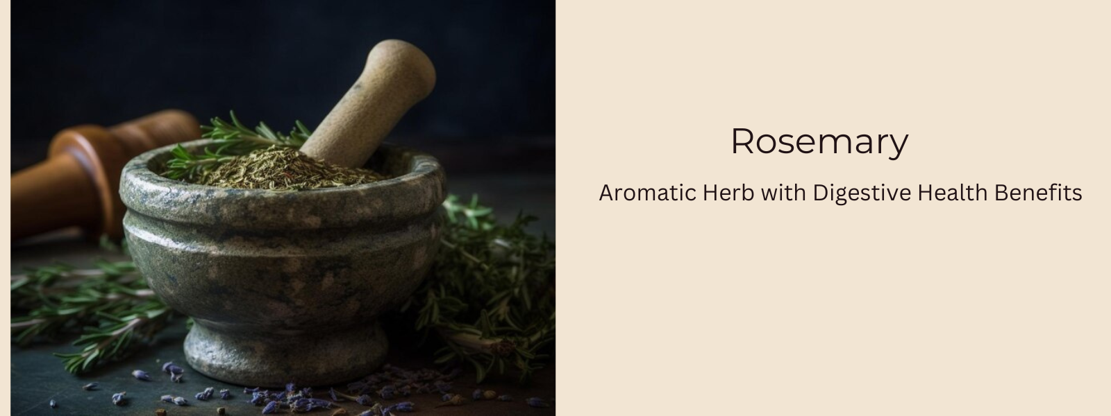 Rosemary: Aromatic Herb with Digestive Health Benefits