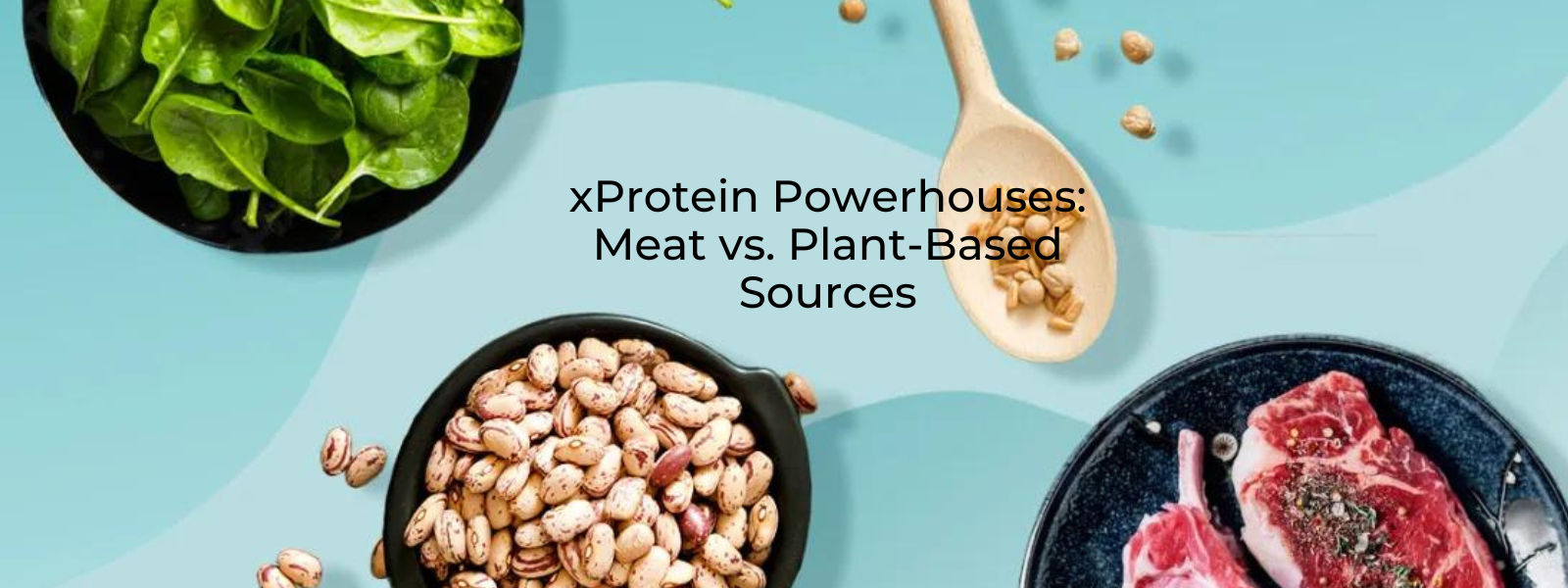 Protein Powerhouses: Meat vs. Plant-Based Sources - PotsandPans India