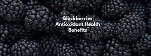 Blackberries Antioxidant Health Benefits