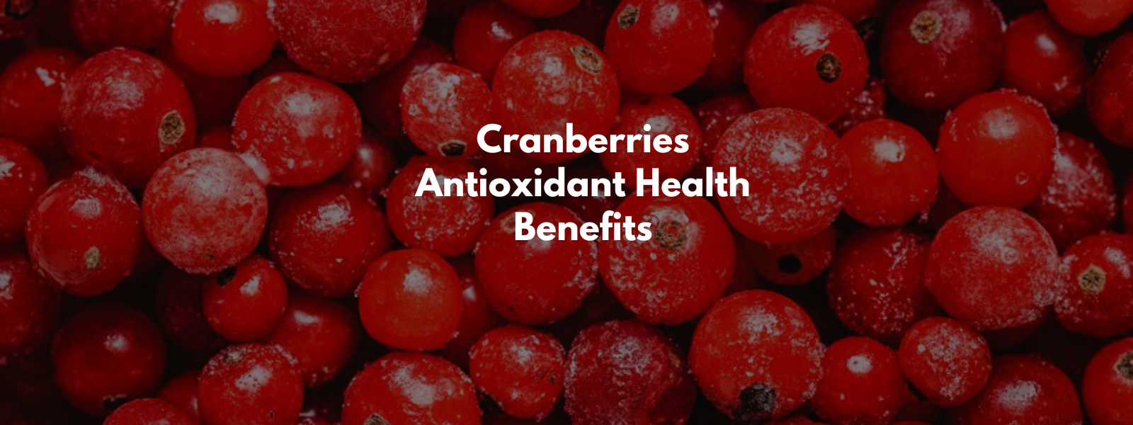 Cranberries Antioxidant Health Benefits