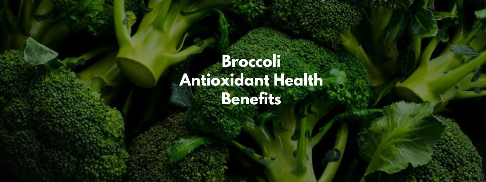 Broccoli Antioxidant Health Benefits