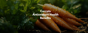 Carrots Antioxidant Health Benefits