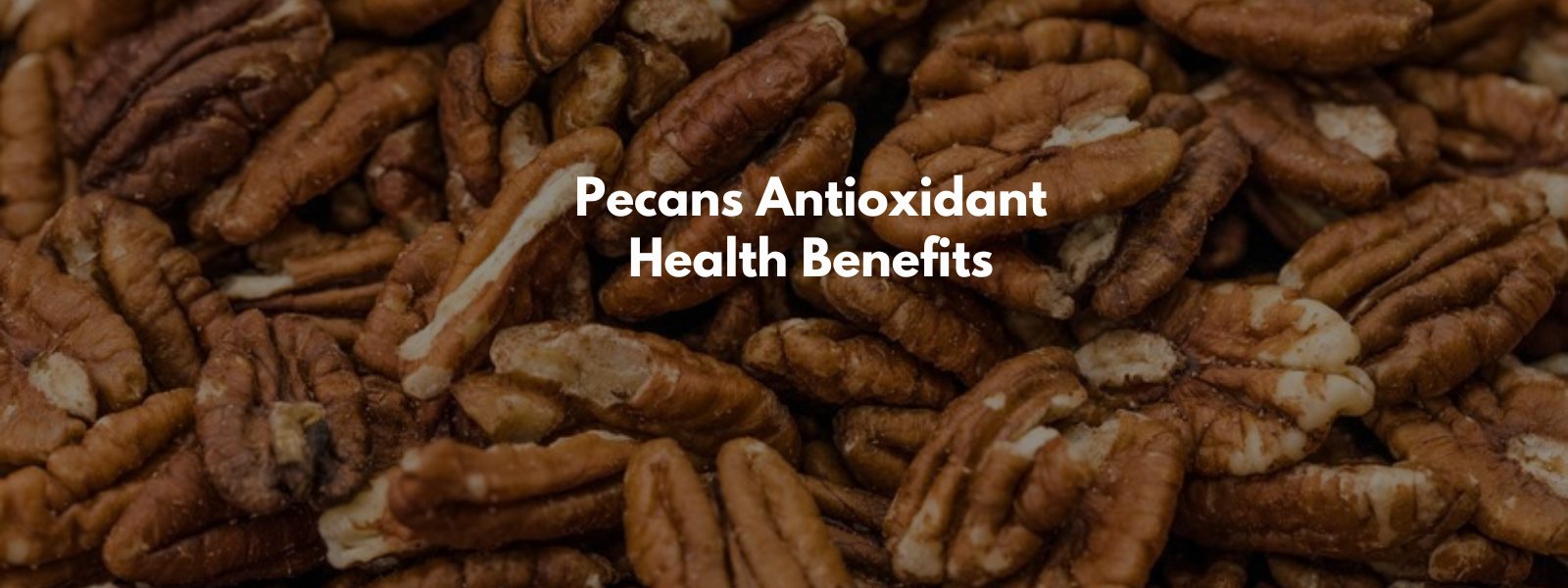 Pecans Antioxidant Health Benefits