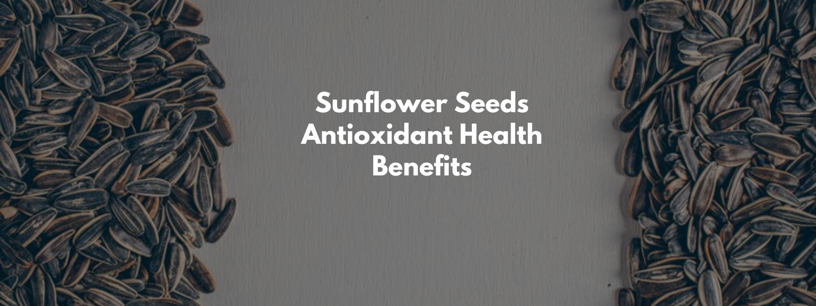 Sunflower Seeds Antioxidant Health Benefits