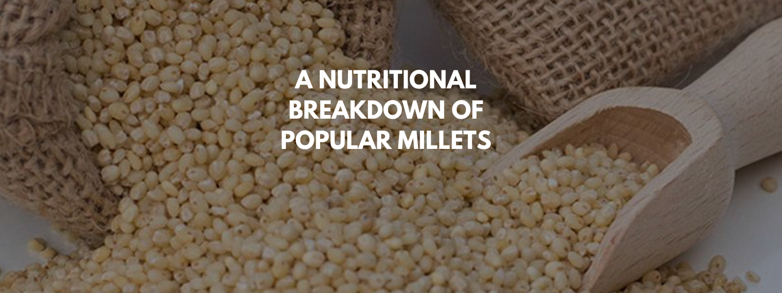 A Nutritional Breakdown of Popular Millets: Benefits for Your Health