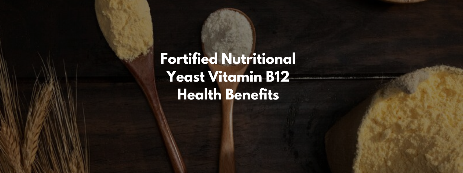 Fortified Nutritional Yeast Vitamin B12 Health Benefits