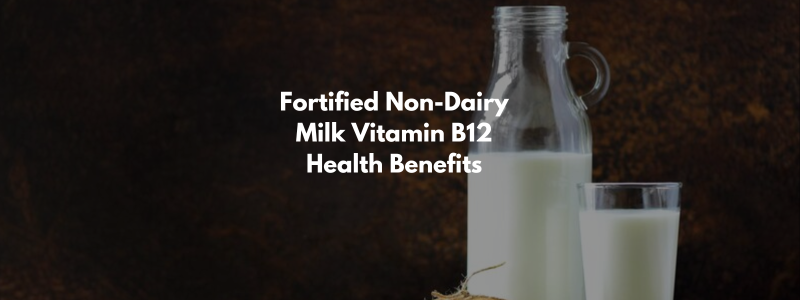 Fortified Non-Dairy Milk Vitamin B12 Health Benefits