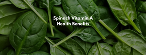 Spinach Vitamin A Health Benefits