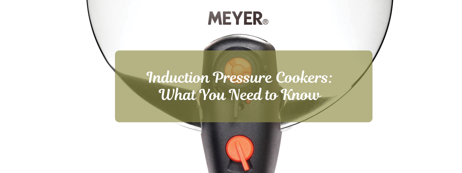 Induction Pressure Cookers: What You Need to Know