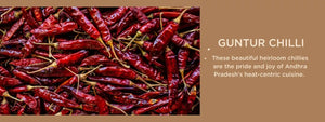 Guntur chilli - Health Benefits, Uses and Important Facts