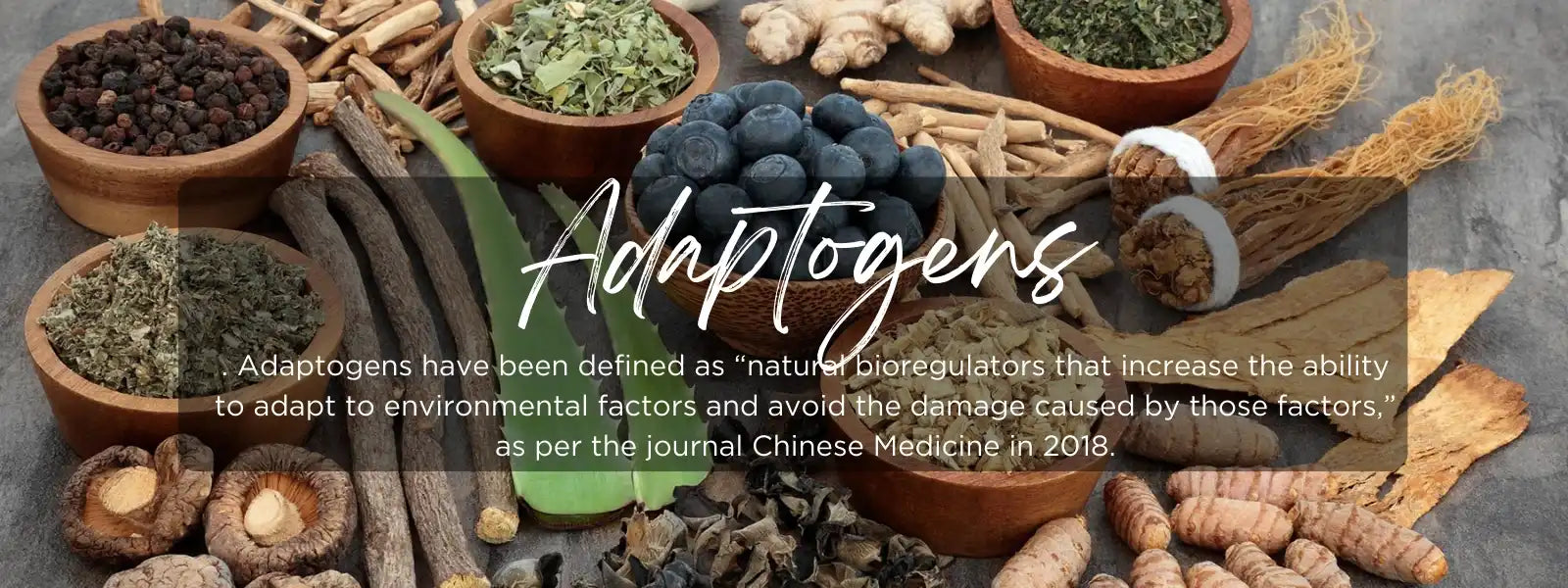 Adaptogens- Health Benefits, Uses And Important Facts - PotsandPans India