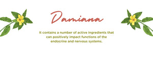 Damiana - Health Benefits, Uses and Important Facts